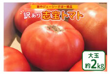 【 訳あり 】志宝トマト 大玉 約 2kg [モアショップヤマモト 石川県 宝達志水町 38601138] トマト とまと 不揃い 規格外 野菜 食品 石川県産