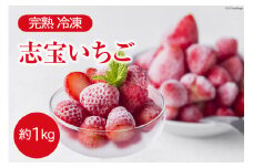 完熟 冷凍 志宝いちご 約1kg [モアショップヤマモト 石川県 宝達志水町 38600602] いちご 苺 イチゴ  冷凍いちご 冷凍苺 1キロ フルーツ 果物 フローズン ジュース ジャム