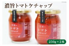 濃旨 トマトケチャップ 250g 2本 計500g [モアショップヤマモト 石川県 宝達志水町 38600502] ケチャップ とまと トマト