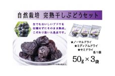 自然栽培 完熟 干しぶどう 50g 3袋 計150g 食べ比べ [砂山ぶどう園 石川県 宝達志水町 38600852] ぶどう ブドウ 葡萄 干しブドウ 干し葡萄 ドライフルーツ 数量限定 限定