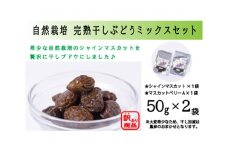 訳あり 自然栽培 完熟干しぶどう ミックスセット (50g×2袋) [砂山ぶどう園 石川県 宝達志水町 38600642] ぶどう ブドウ 葡萄 干しブドウ 干し葡萄 数量限定 限定