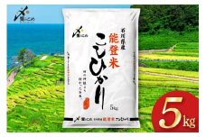 米 令和6年 能登米 こしひかり 精米 5kg [中橋商事 石川県 宝達志水町 38601139] お米 白米 ごはん 美味しい コシヒカリ おこめ こめ コメ 5キロ