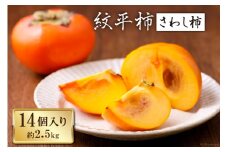 【期間限定発送】 柿 紋平柿 14個 計2.5kg さわし柿 [東間生産組合 石川県 宝達志水町 38600413] かき カキ フルーツ 秋の味覚 渋柿 果物 くだもの
