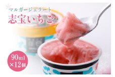 マルガージェラート12個セット（志宝いちご12個） [モアショップヤマモト（アイス） 石川県 宝達志水町 38600457] 