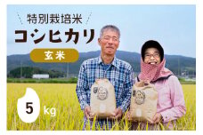 【期間限定発送】 米 令和6年 特別栽培米  コシヒカリ 玄米 5kg ×1 [農家にしの 石川県 宝達志水町 38600886] 米 お米 ご飯 ごはん こしひかり 石川 美味しい