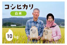 【期間限定発送】 米 令和6年 コシヒカリ 白米 10kg×1 [農家にしの 石川県 宝達志水町 38600875] 米 お米 ご飯 ごはん 精米 こしひかり 石川 美味しい