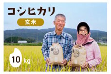 【期間限定発送】 米 令和6年 コシヒカリ 玄米 10kg×1 [農家にしの 石川県 宝達志水町 38600877] 米 お米 ご飯 ごはん こしひかり 石川 美味しい