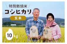 【期間限定発送】 米 令和6年 特別栽培米 コシヒカリ 玄米 10kg ×1 [農家にしの 石川県 宝達志水町 38600889] 米 お米 ご飯 ごはん こしひかり 石川 美味しい