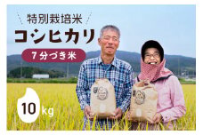 【期間限定発送】 米 令和6年 特別栽培米 コシヒカリ 7分づき 10kg ×1 [農家にしの 石川県 宝達志水町 38600888] 米 お米 ご飯 ごはん こしひかり 石川 美味しい