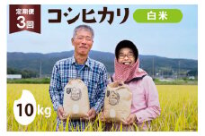【期間限定発送】 3回 定期便 米 コシヒカリ 白米 10kg ×1×3回 総計 30kg [農家にしの 石川県 宝達志水町 38600818] 米 お米 ご飯 ごはん 精米 こしひかり 石川 美味しい