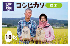 【期間限定発送】 6回 定期便 米 コシヒカリ 白米 10kg ×1×6回 総計 60kg [農家にしの 石川県 宝達志水町 38600821] 米 お米 ご飯 ごはん 精米 こしひかり 石川 美味しい