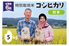 【期間限定発送】 6回 定期便 米 特別栽培米 コシヒカリ 白米 5kg ×1×6回 総計 30kg [農家にしの 石川県 宝達志水町 38600839] 米 お米 ご飯 ごはん 精米 こしひかり 石川 美味しい
