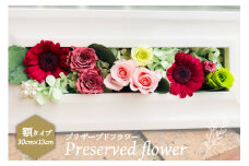 プリザーブドフラワー 額 花 ギフト プレゼント 贈答 母の日 / littleprincess 吉井圭香 / 石川県 宝達志水町 [38600026]