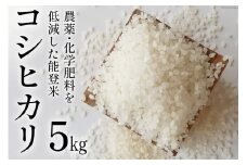 【期間限定発送】 米 令和6年 能登米 コシヒカリ 精米 5kg [みどりの波 石川県 宝達志水町 38601060] お米 コメ 5キロ ごはん 白米 こしひかり 美味しい 石川 能登