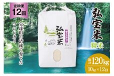 米 定期便 コシヒカリ 「弘宝米」 精米 10kg ×12回 総計 120kg [中西農場 石川県 宝達志水町 38600990] お米 白米 こしひかり 美味しい 農家 直送 12ヶ月 120キロ 10キロ 石川 能登