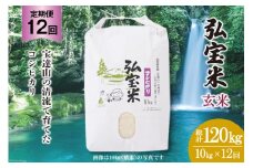 米 定期便 コシヒカリ 「弘宝米」 玄米 10kg ×12回 総計 120kg [中西農場 石川県 宝達志水町 38600677] お米 白米 こしひかり 美味しい 農家 直送 12ヶ月 120キロ 10キロ 石川 能登