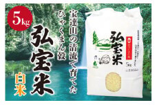 【期間限定発送】 米 ひゃくまん穀「弘宝米」 精米 5kg [中西農場 石川県 宝達志水町 38600979] お米 白米 美味しい 農家 直送 5キロ 石川 能登