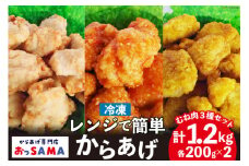 唐揚げ 冷凍 レンジで簡単 胸肉 3種セット 各200g×2 計1.2kg [からあげ専門店おっSAMA 石川県 宝達志水町 38600800] から揚げ からあげ むね肉 レンジ 下味 揚げない 国産