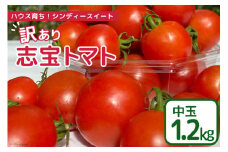 【 訳あり 】 志宝トマト シンディスイート 中玉 1.2kg [モアショップヤマモト 石川県 宝達志水町 38600593] 不揃い 規格外 野菜 トマト とまと 石川県産