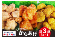 唐揚げ 冷凍 レンジで簡単 胸肉 3種セット 各200g×1 計600g [からあげ専門店おっSAMA 石川県 宝達志水町 38600799] から揚げ からあげ むね肉 レンジ 下味 揚げない 国産 セット 食べ比べ