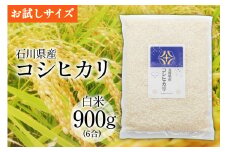 【期間限定発送】 米 令和6年 コシヒカリ 白米 900g(6合) [みどりの波 石川県 宝達志水町 38601061] こしひかり 精米 お米 ご飯 ごはん お試し 少量