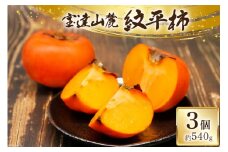 【先行予約】糖度18度以上 宝達山麓 紋平柿 3個 計540g以上 [宝正果 石川県 宝達志水町 38600768] フルーツ 果物 くだもの 柿 かき カキ もんぺいがき 特産品 希少 石川県産
