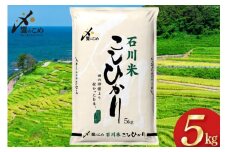 米 令和6年 石川県産 石川米こしひかり【穂立】5kg [中橋商事 饗のこめ (あえのこめ) 石川県 宝達志水町 38601197] コシヒカリ お米 コメ 白米 精米 おこめ こめ 5キロ ごはん ご飯 国産