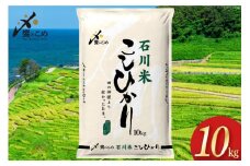 【期間限定発送】 米 令和7年 石川県産 石川米こしひかり【穂立】10kg [中橋商事 饗のこめ (あえのこめ) 石川県 宝達志水町 38601198] コシヒカリ お米 コメ 白米 精米 おこめ こめ 10キロ ごはん ご飯 国産