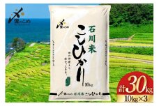 米 令和6年 石川県産 石川米こしひかり【穂立】30kg（10kg ×3袋）[中橋商事 饗のこめ (あえのこめ) 石川県 宝達志水町 38601200] コシヒカリ お米 コメ 白米 精米 おこめ こめ 30キロ ごはん ご飯 国産