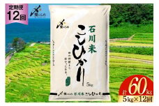 米 定期便 石川米こしひかり【穂立】5kg×12回 総計60kg [中橋商事 石川県 宝達志水町 38600814]コシヒカリ お米 コメ 12ヶ月 白米 精米 おこめ こめ 能登 5kg 5キロ