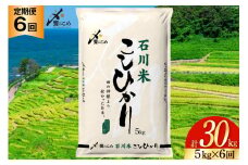 米 定期便 石川米こしひかり【穂立】5kg×6回 総計30kg [中橋商事 石川県 宝達志水町 38601131] コシヒカリ お米 コメ 6ヶ月 白米 精米 おこめ こめ 能登 5kg 5キロ