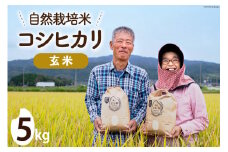【期間限定発送】米 令和6年 自然栽培米コシヒカリ 玄米 5kg×1 [農家にしの 石川県 宝達志水町 38600883] 令和6年産 お米 こめ コメ 5kg 5キロ こしひかり ご飯 ごはん 玄米 精米 自然栽培 新米