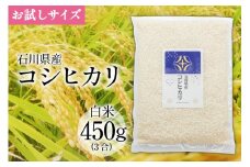  【期間限定発送】 米 令和6年 コシヒカリ 白米 450g(3合) [みどりの波(翠の波) 石川県 宝達志水町 38601062] コシヒカリ お米 コメ 白米 精米 おこめ こめ 能登 少量 お試し