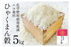 【期間限定発送】 米 令和6年 ひゃくまん穀 精米 5kg [みどりの波 石川県 宝達志水町 38601066] お米 こめ コメ 5キロ 白米 ひゃくまんごく 美味しい