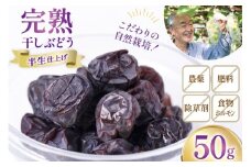 【期間限定発送】 ドライフルーツ 自然栽培 完熟 干しぶどう マスカットベリーA セミドライ 50g 1袋 [砂山ぶどう園 石川県 宝達志水町 38601237] ドライ フルーツ くだもの 果物 葡萄 ぶどう ブドウ