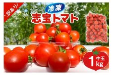 訳あり 野菜 トマト 冷凍志宝トマト（シンディスイート）中玉 1kg [モアショップヤマモト 石川県 宝達志水町 38601219] とまと 中玉 不揃い 規格外 1キロ わけあり 訳アリ 家庭用 やさい tomato