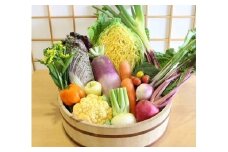 野菜 カラー野菜 詰め合わせ Ａセット  [道の駅織姫の里なかのと 石川県 中能登町 27aa0006] お野菜 旬 新鮮 詰め合せ セット ファイトケミカル お楽しみ 冷蔵