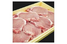 肉 能登豚 ロース テキカツ 100g×10枚 計1kg [道の駅織姫の里なかのと 石川県 中能登町 27aa0036] 豚肉 精肉 ロース 石川県産 ごほうび
