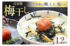 梅干し 農家レストランまるの自家製梅干し 1.2kg [道の駅織姫の里なかのと 石川県 中能登町 27aa0038] 自家製 オーガニック おつまみ おにぎり お茶漬け 手土産