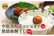 米 農家レストランまるの中能登町産コシヒカリと自家製梅干しセット [道の駅織姫の里なかのと 石川県 中能登町 27aa0039] 白米 精米 ご飯 自家製 梅干し ごはん コメ こめ 家庭用 国産 中能登産