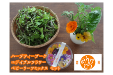 食用花 スペシャルセット ハーブティブーケ1束・エディブルフラワー 約30g・ベビーリーフミックス 約150g or ハーブミックス約150g [あんがとう農園 石川県 中能登町 27ai0001] 食用 スイーツ ケーキ 付け合せ ミックス 詰め合わせ