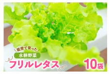 フリルレタス 10袋 セット [バイテックベジタブルファクトリー 石川県 中能登町 27ap0001] 野菜 レタス 葉物 葉物野菜 水耕栽培