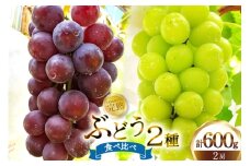 ぶどう エミー農園で作る 完熟ぶどう 2種食べ比べセット シャインマスカット ＆ BKシードレス　合計600g  [道の駅織姫の里なかのと 石川県 中能登町 nk17amw270057] ブドウ 葡萄 シャイン シャインマスカット マスカット 食べ比べ 果物 フルーツ 