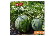 【先行予約】奥能登 赤土スイカ 2玉（Lサイズ）【2025年7月下旬以降順次発送】/ すいか スイカ 令和7年産 果物 野菜 西瓜 フルーツ ジューシー 奥能登 能登半島