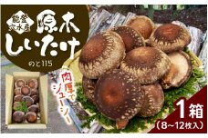 【先行予約】奥能登 穴水産 原木しいたけ (のと115) 8～12枚 【2026年1月以降順次発送】/ 奥能登 能登半島 国産 椎茸 生しいたけ きのこ キノコ 原木 肉厚 食べ応え 送料無料