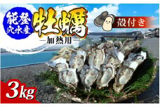 鮮度抜群！獲れたてをお届け！ 能登穴水の牡蠣(殻付)加熱用３ｋｇ