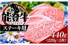能登のブランド牛をご自宅で！ 能登牛 ステーキ用 440g（220g × 2枚）| 冷凍便 肉 牛肉 奥能登 能登半島 国産 ステーキ肉 ブランド牛 和牛 黒毛和種 黒毛和牛 送料無料