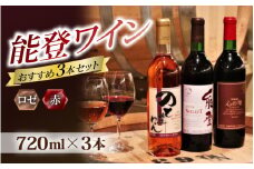 【先行予約】能登ワインと言えばコレ！おすすめ 能登ワイン3本セット【2025年12月以降順次発送】｜ワイン わいん 赤 白 ロゼ ぶどう ブドウ 葡萄 熟成 牡蠣 かき カキ 能登 奥能登 テロワール  畑