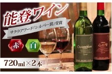 【先行予約】国際的なワインコンペティションサクラアワードシルバー賞受賞の本格ワイン 能登ワイン2本セット【年末年始より順次発送】｜ワイン わいん 赤 白 ロゼ ぶどう ブドウ 葡萄 熟成 牡蠣 かき カキ 能登 奥能登 能登半島 テロワール  畑