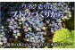収穫量を抑えて品質を高める垣根式栽培方法で育てたブドウは、ミネラル豊かで爽やかな酸味が際立った個性豊かなワインを生みだします。